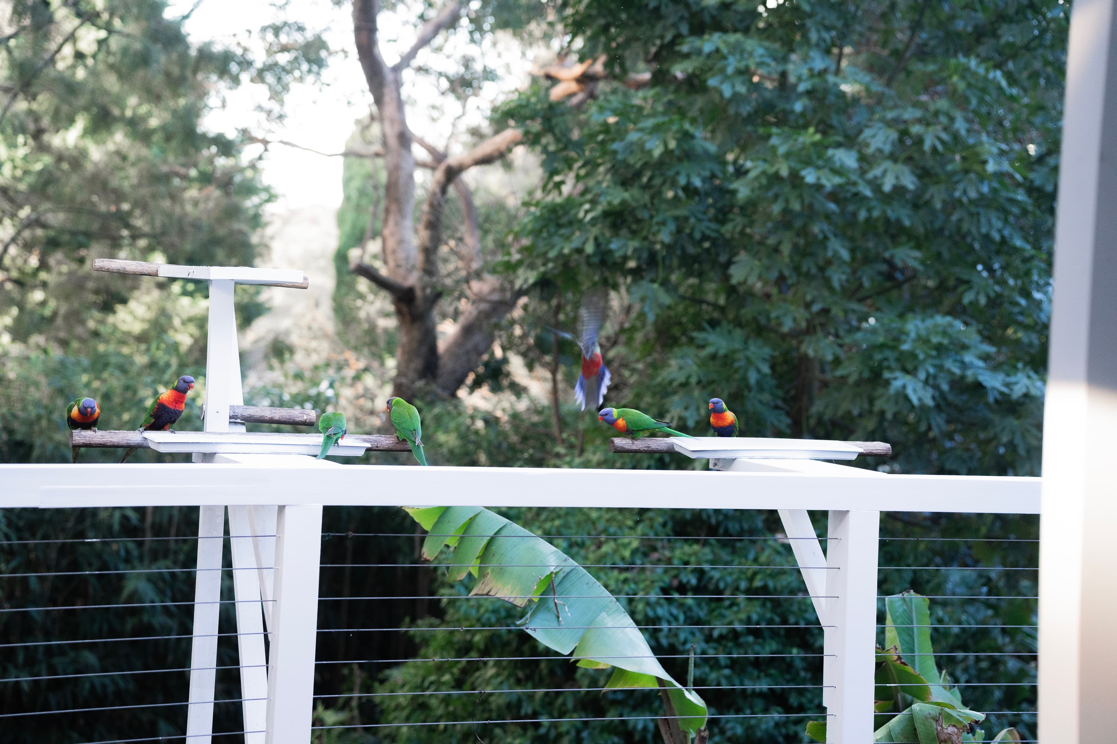 White House Metung Lifestyle 2