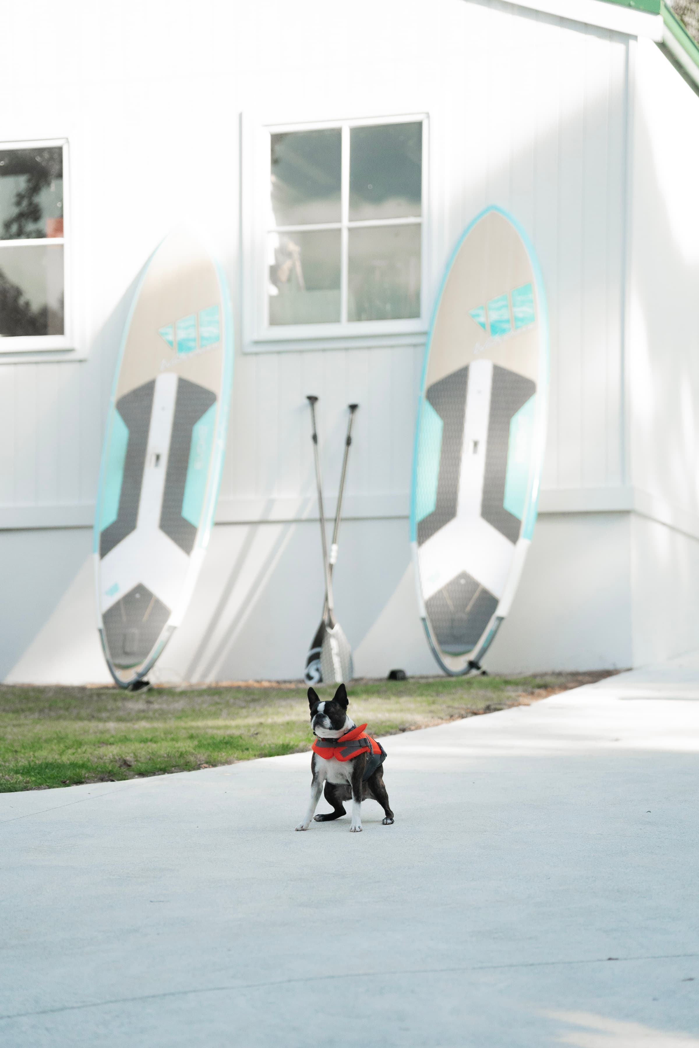 White House Metung Lifestyle 16